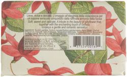 Nesti-Dante-Romantica--Levkoje-und-Fuchsia-250g-hin.jpg Nesti-Dante-Romantica--Levkoje-und-Fuchsia-250g-hin.jpg