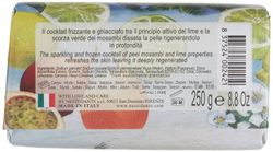 Nesti-Dante-Paradiso-Tropicale--Tahitian-Lime-und_1.jpg Nesti-Dante-Paradiso-Tropicale--Tahitian-Lime-und_1.jpg