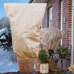 V28420.jpg V28420.jpg