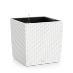 cube-cottage-w-large.png