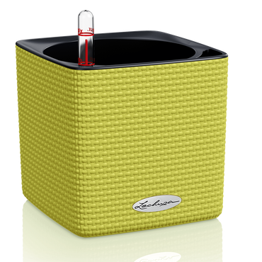 LECHUZA CUBE Color 14 Komplettset limettengrün