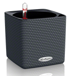 cube-color-sgr-large.png