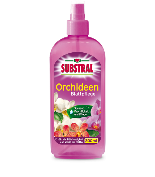 baum knstlich Knstlicher Eucalyptus Baum - Christopher | 120 cm