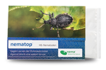 74993-EN1101025-nematop-HB-Nematoden-gegen-Dickmaulruessler-25-Mio-_1.png
