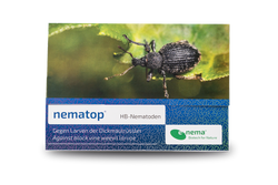 74993-EN1101025-nematop-HB-Nematoden-gegen-Dickmaulruessler-25-Mio-.png 74993-EN1101025-nematop-HB-Nematoden-gegen-Dickmaulruessler-25-Mio-.png