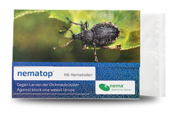 74993-EN1101025-nematop-HB-Nematoden-gegen-Dickmaulruessler-25-Mio-_1.png 74993-EN1101025-nematop-HB-Nematoden-gegen-Dickmaulruessler-25-Mio-_1.png