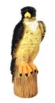 1-Wanderfalke-Ivar.jpg