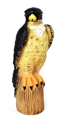 1-Wanderfalke-Ivar.jpg 1-Wanderfalke-Ivar.jpg