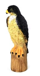 3-Wanderfalke-Ivar.jpg 3-Wanderfalke-Ivar.jpg