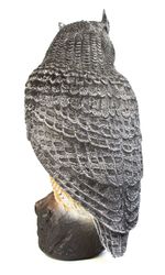 eule-hinten1.jpg eule-hinten1.jpg