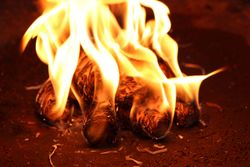 Feuer.jpg Feuer.jpg