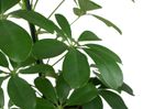 -MG-7771-neu.jpg