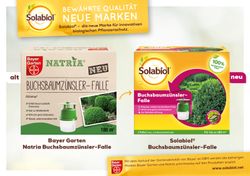 Solabiol-Buchsbaumzuensler-Falle.jpg Solabiol-Buchsbaumzuensler-Falle.jpg