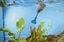 43956-AF-Scheibenreiniger-015-F.gif 43956-AF-Scheibenreiniger-015-F.gif