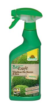 Neudorff BioKraft Vitalkur für Buxus und Ilex AF 500ml