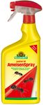 4005240023471-Loriran-AF-AmeisenSpray-1079-RGB-rgb.jpg