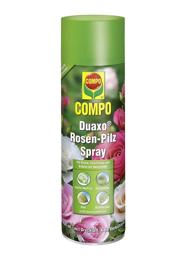 COMPO Duaxo Rosen-Pilz Spray 400ml | meingartencenter24.de - Garten Online  Shop & Weber Grill Store