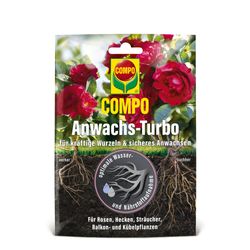 3d-anwachs-frontal-pim-jpg.jpg 3d-anwachs-frontal-pim-jpg.jpg