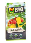 1-9-CBIO-GT-2015.jpg